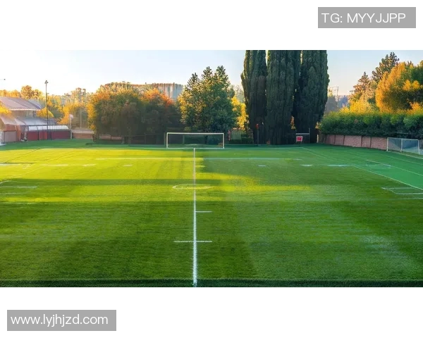 球星卡油画艺术展现足球激情与绿茵场上永恒的荣耀瞬间